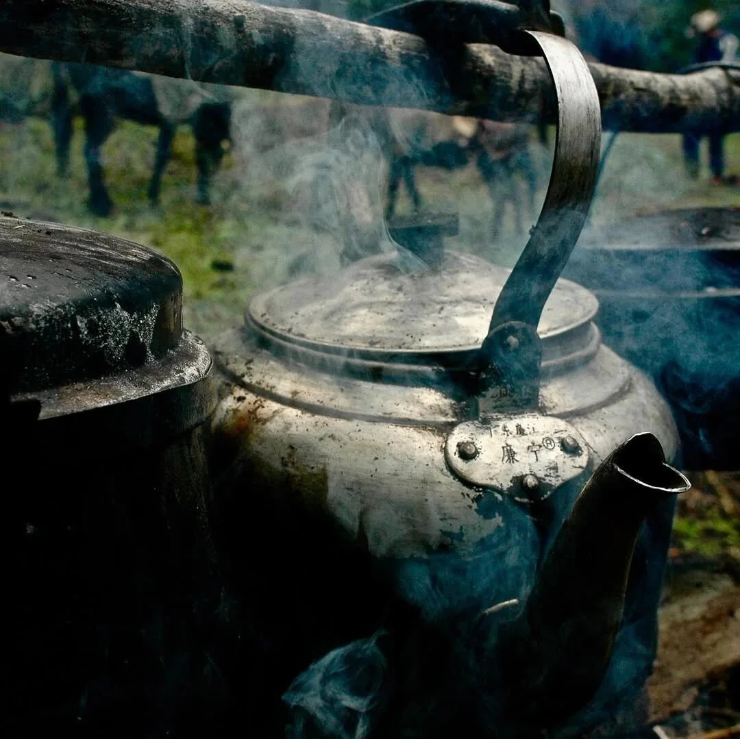 A kettle beside the herd on the plateau